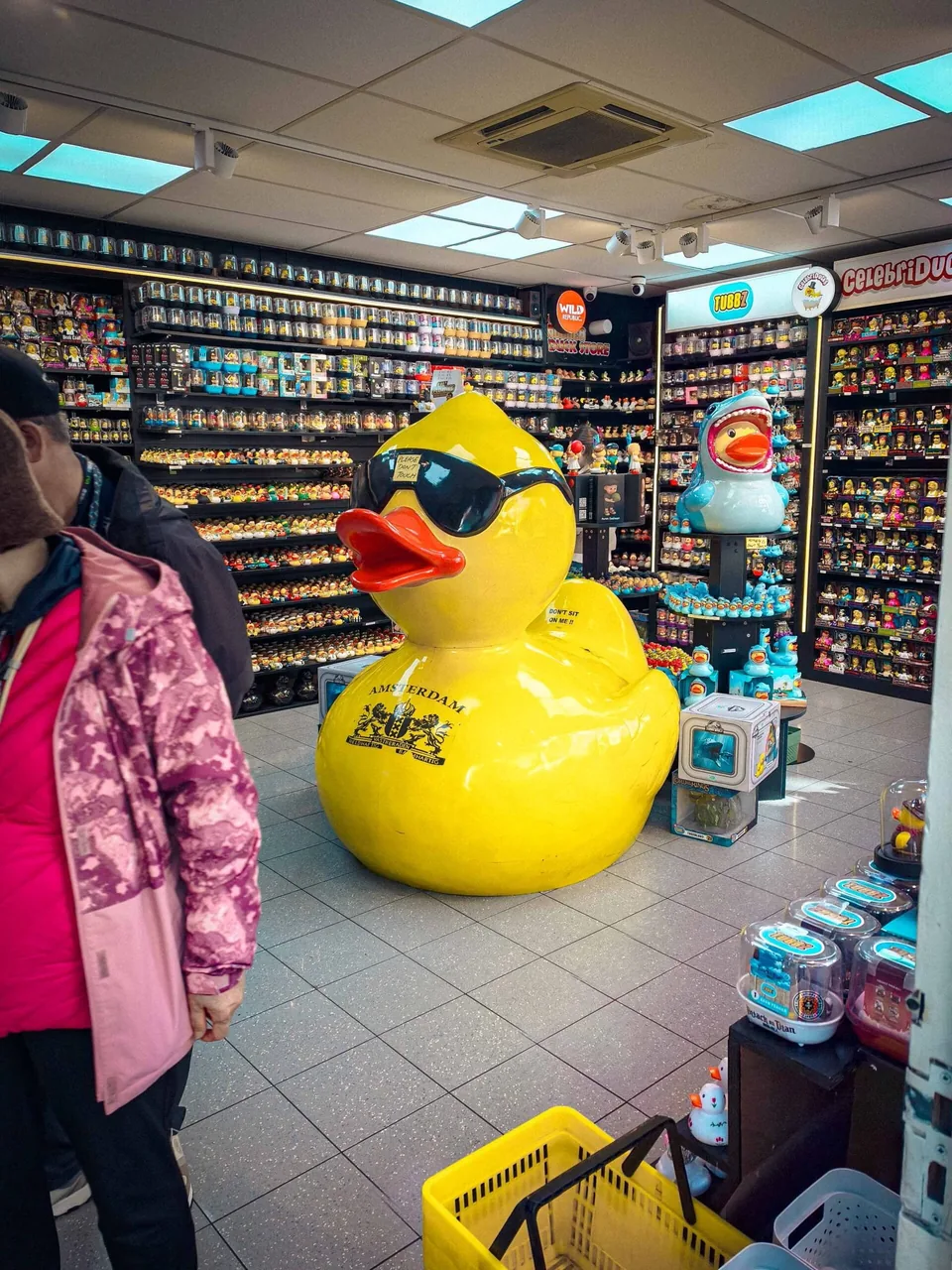 Duck Is High