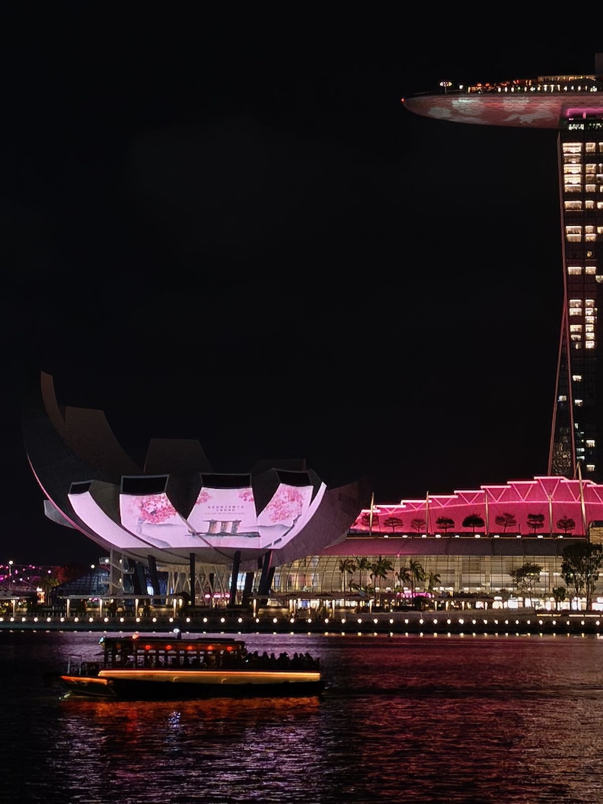 The campaign projected onto the ArtScience Museum, photographed from across the bay.